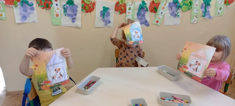 244041884 929088897964294 2194437983911173014 n