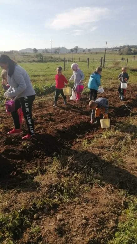 244137876 2991603554501961 4866881076934696481 n