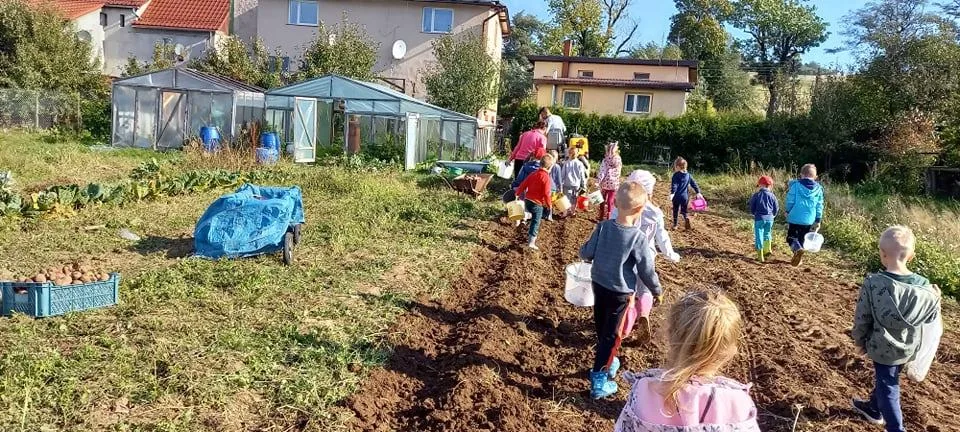 244182196 3048074868770259 7504192594569209435 n