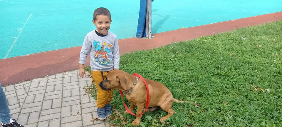 244255561 1198092307344754 7010298530371105464 n 3