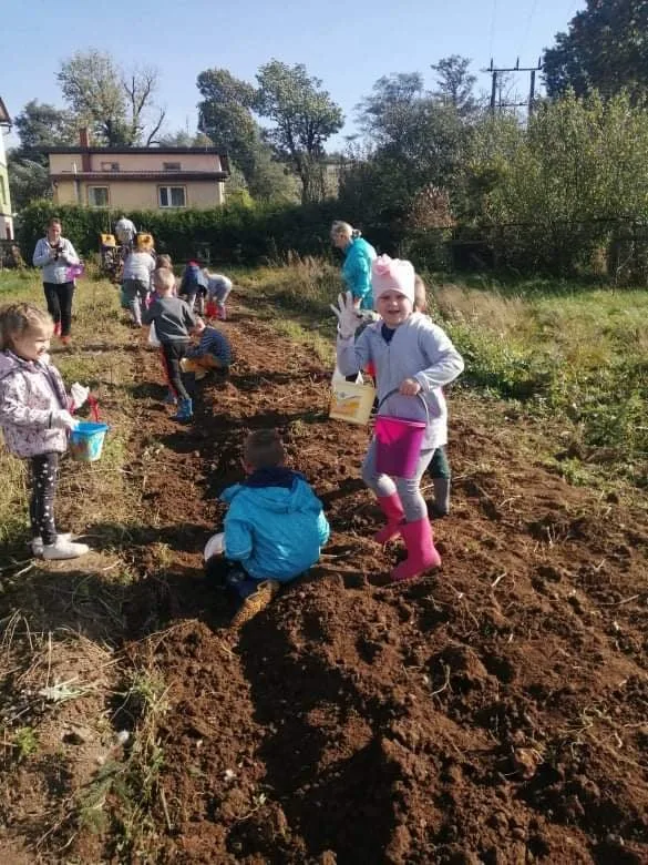 O, RETY! PRZEDSZKOLAKI  Z MOTYKAMI!