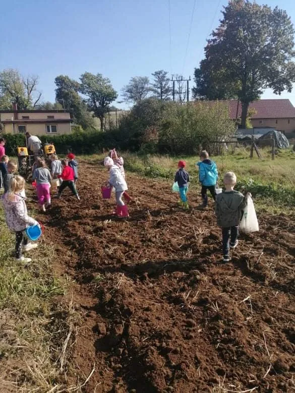 244367726 4303208253125394 5658170016866168356 n