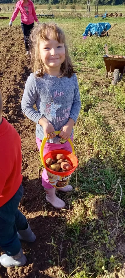 244370064 232617292087498 1640710947867986657 n