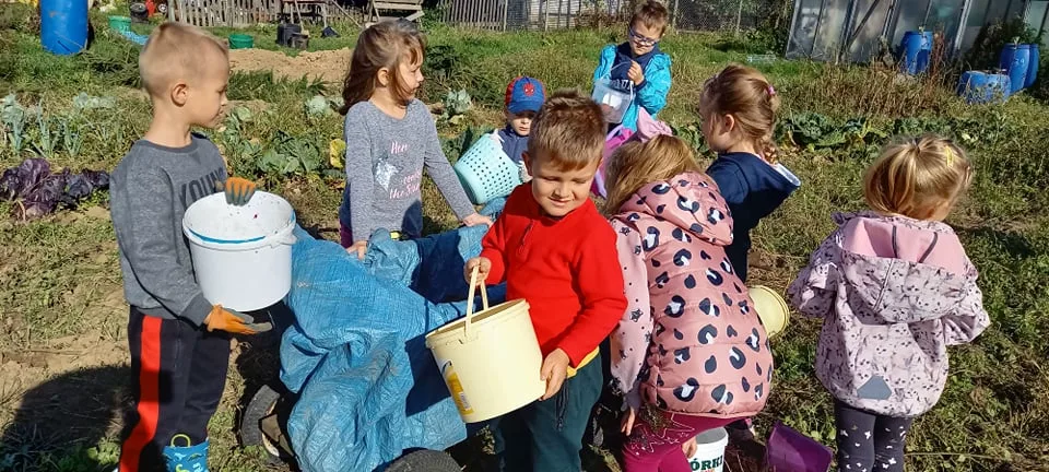 244427606 250320350355795 7742348089458048986 n