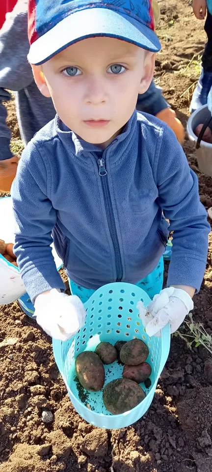 244443373 393111805618068 6104748834007710644 n