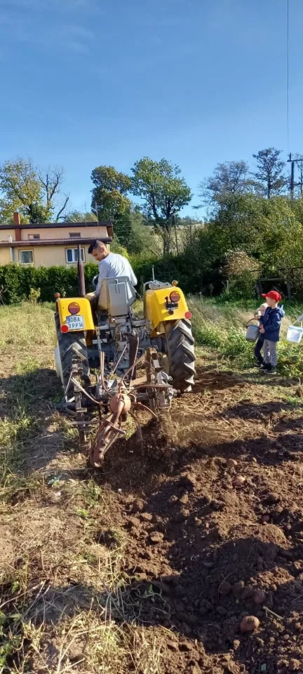 244578543 241466131275586 3238353220720044089 n