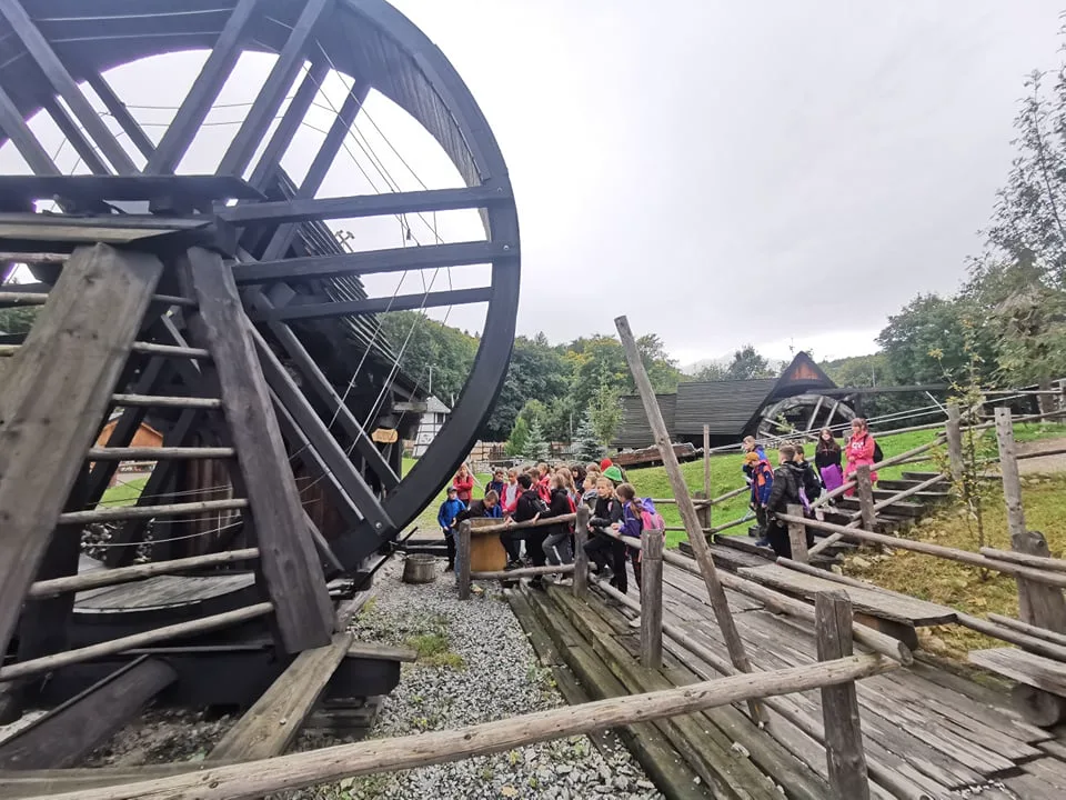 244624616 943576879703960 4916230963800920266 n