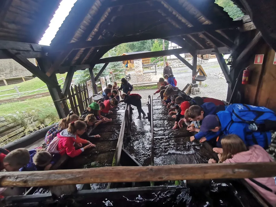 244973328 269408368305289 1368561064234735185 n