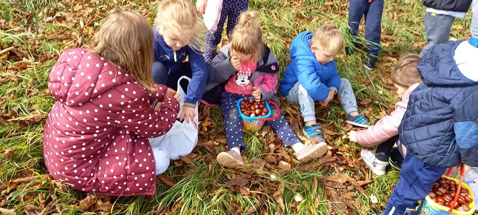 245021078 291711396101939 7384834911374714508 n