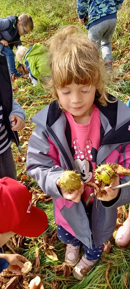 245032588 420642462910622 3080406272418231635 n