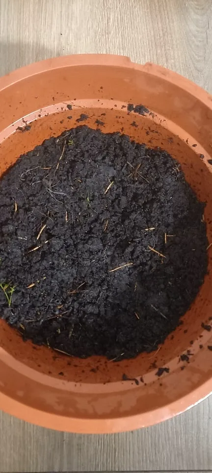 245055014 1005386460306019 1829374170280135906 n