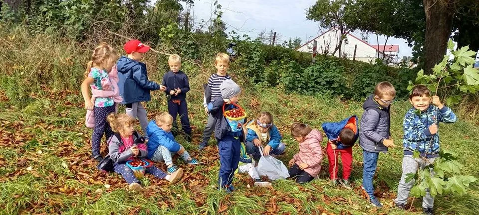 245165600 261144882455086 8760303127537265426 n