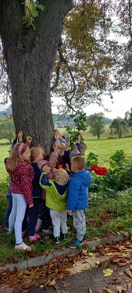 245320163 926450704889397 4167038250861866109 n