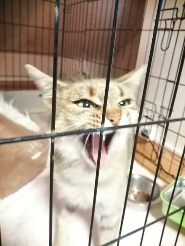 246919509 413448027049869 1972255374700900689 n