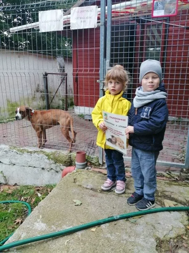 246948165 4261169664012400 5670954952679340846 n