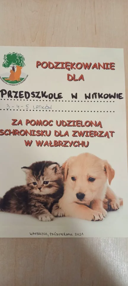 246985841 228402772611942 3771586374773569112 n