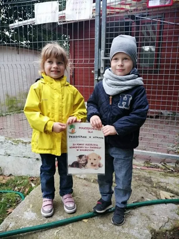 247428489 238881701603798 6699117917715591050 n