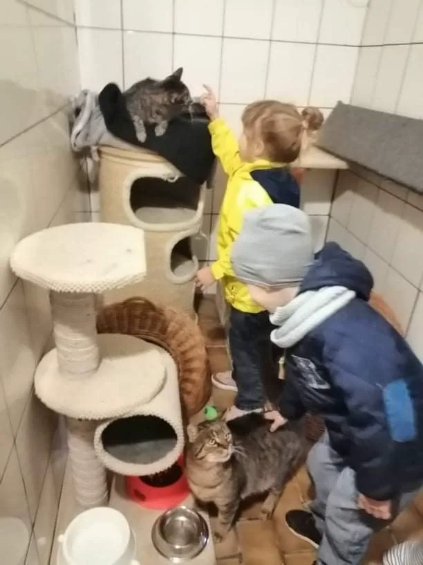 PODZIĘKOWANIA  ZE SCHRONISKA DLA  PRZEDSZKOLA Z WITKOWA