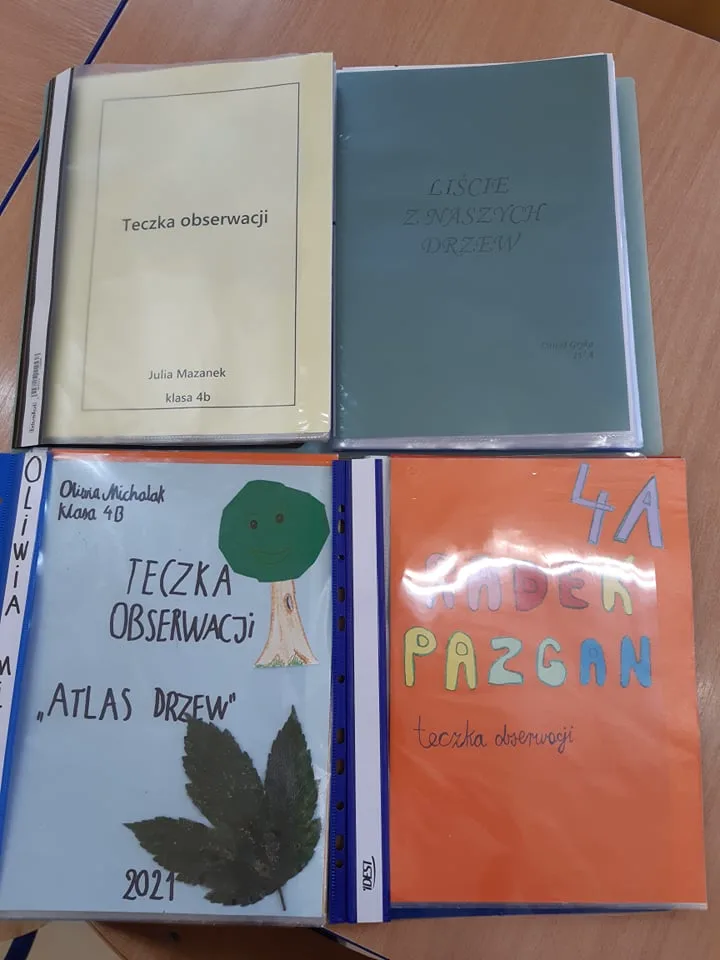 242327026 3010598505858522 994138962012414675 n 1