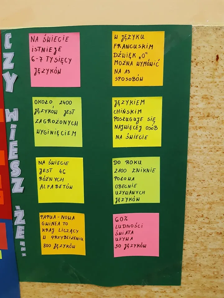 242355355 223960639779996 1237342526036295165 n