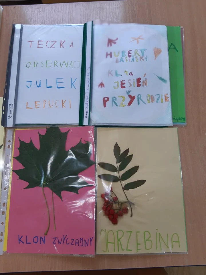 OBSERWACJE    PRZYRODNICZE