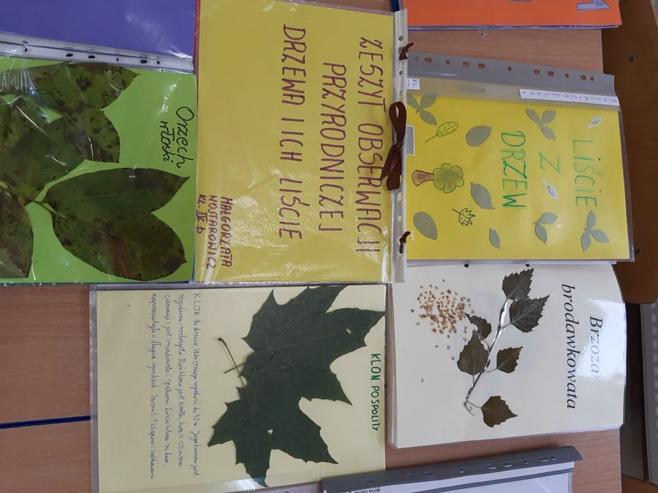 242395418 2013729252135912 3476486277963900938 n