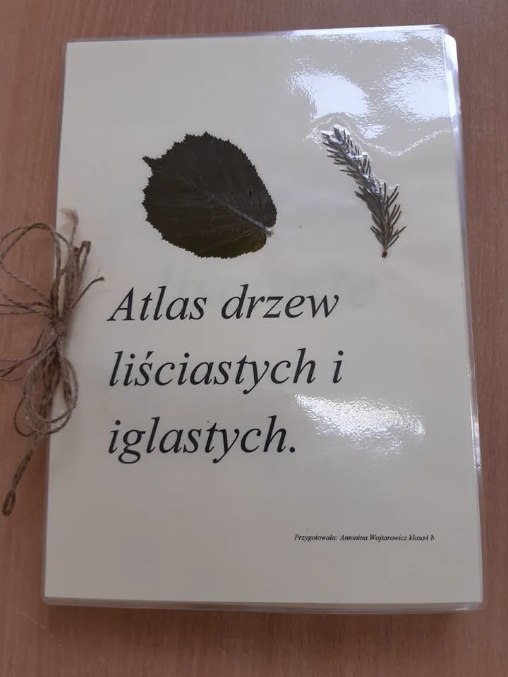 242555187 1258006874653105 2297065817251304551 n