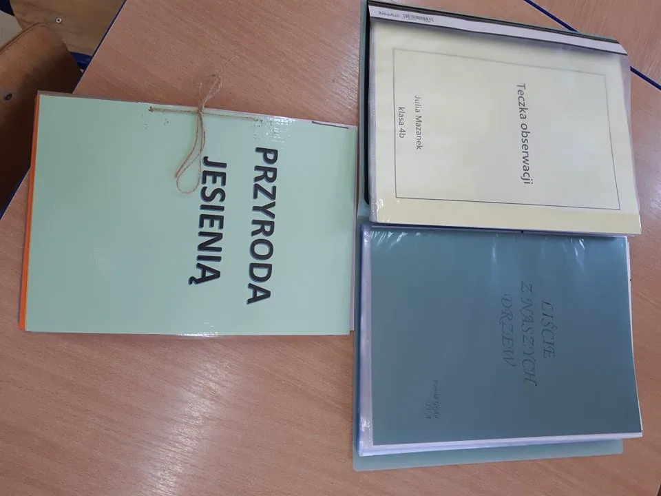 242557417 226232636145871 8759623779073658668 n