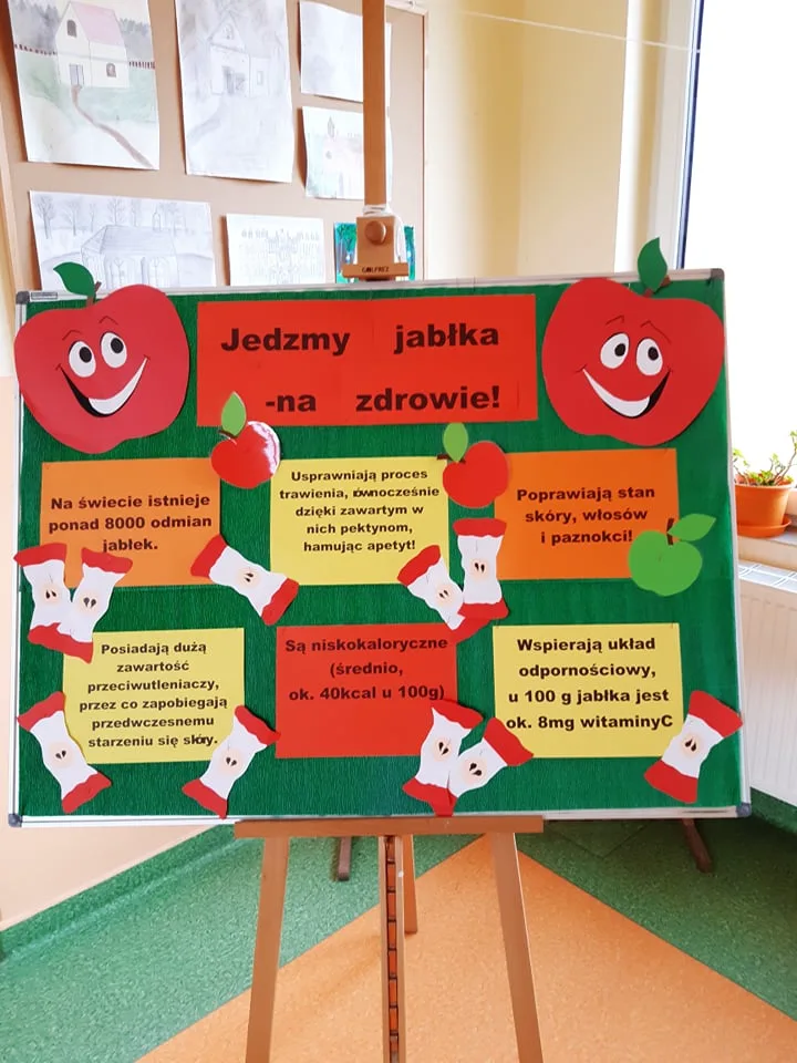 243305938 369073384959654 649330007862397064 n