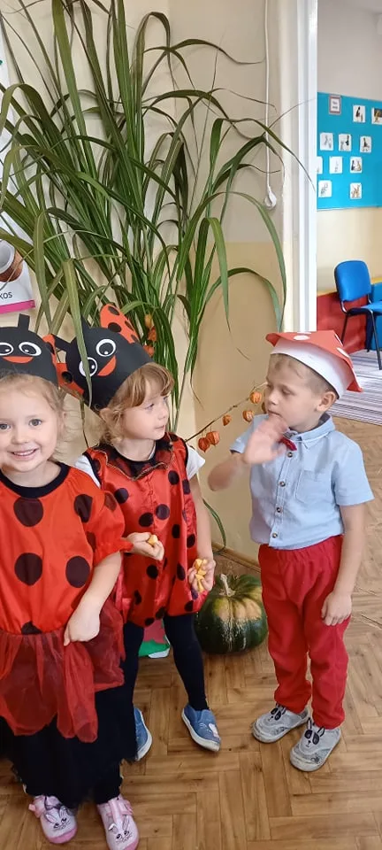 245333630 426082235601171 7790985043638890749 n