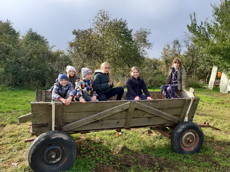 245347103 301805011416617 1727599528401563623 n copy copy copy