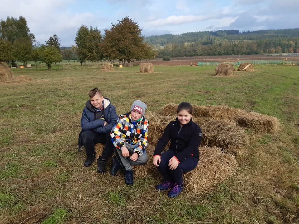 245418837 394229665759312 4728094666529922203 n copy