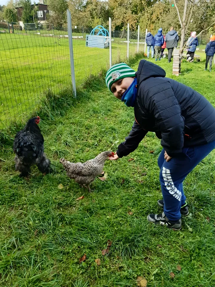 245640806 413571313499389 4404256408610980815 n copy