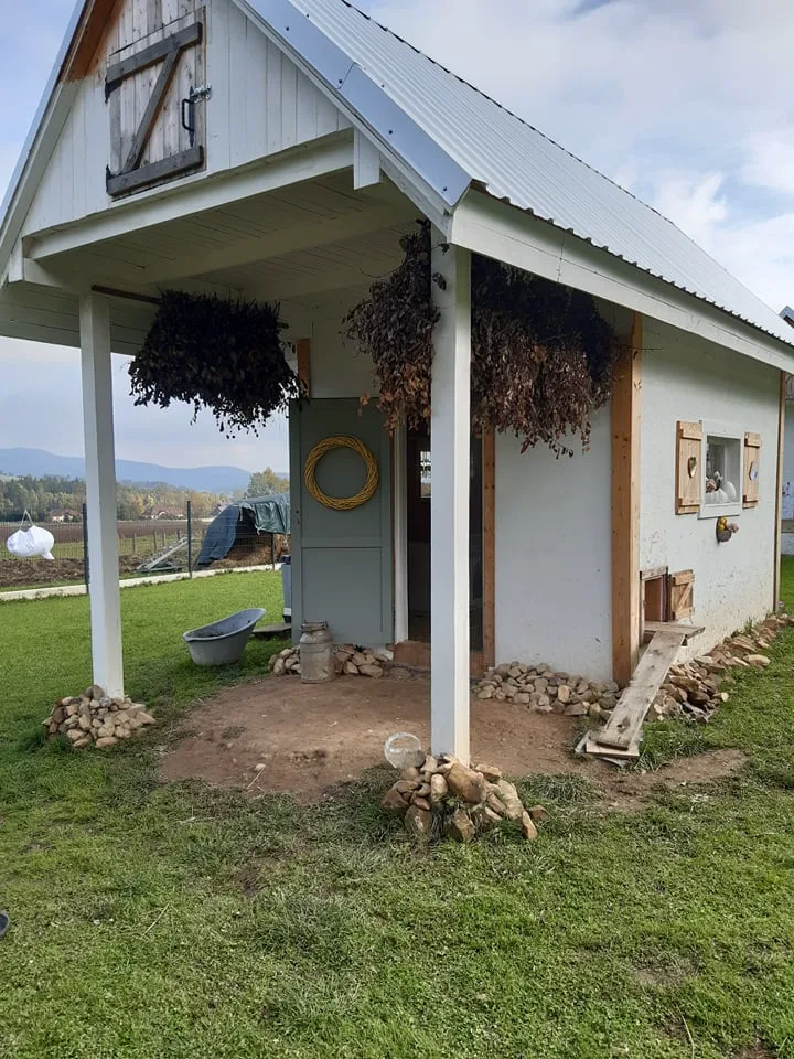 246029340 684814705784255 747916801890396328 n copy copy