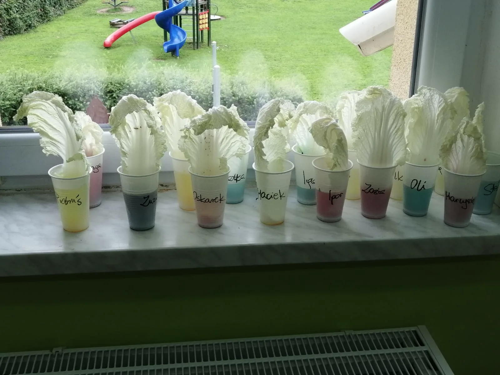 PHOTO 2021 09 21 16 30 49