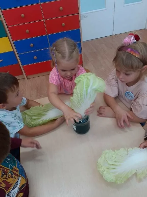 PHOTO 2021 09 21 16 30 50 2