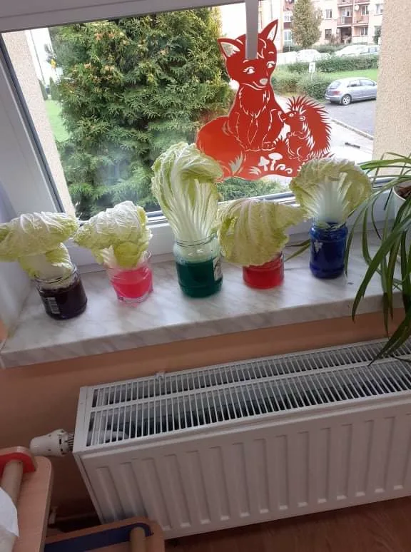 PHOTO 2021 09 21 16 30 50 4