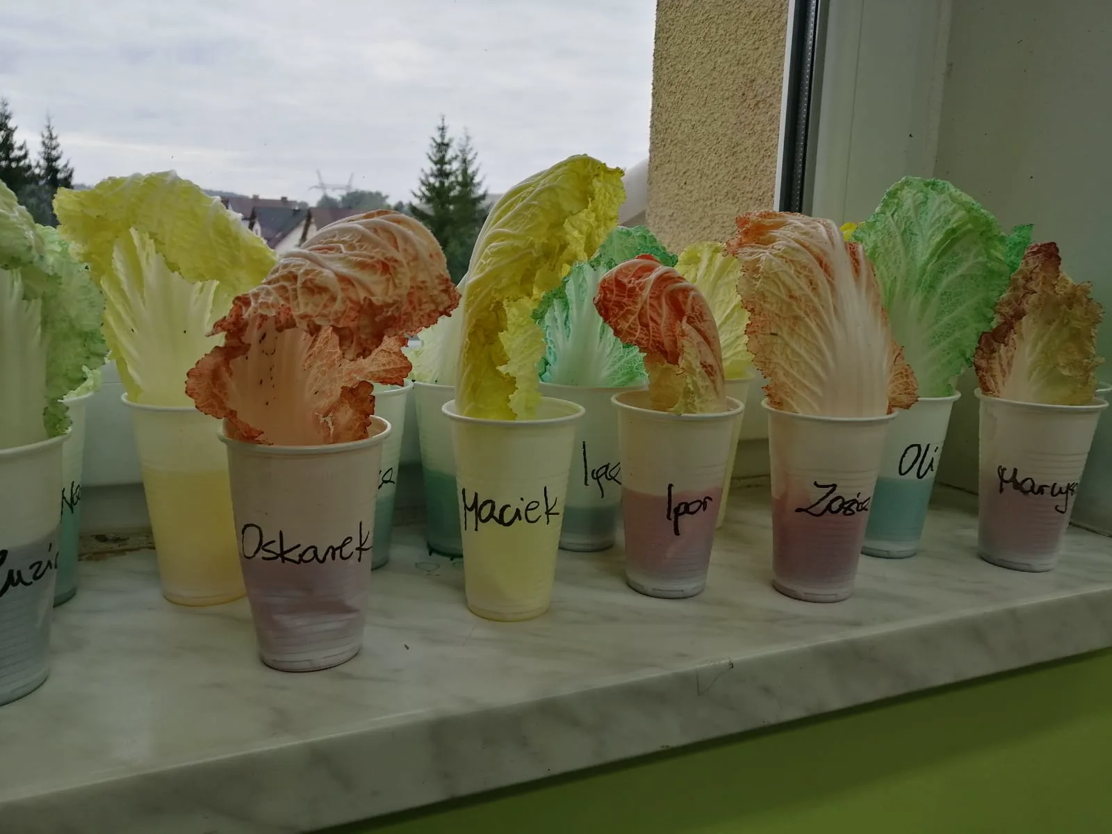 PHOTO 2021 09 21 16 30 50 copy