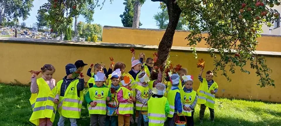 received 590092002174495.jpeg