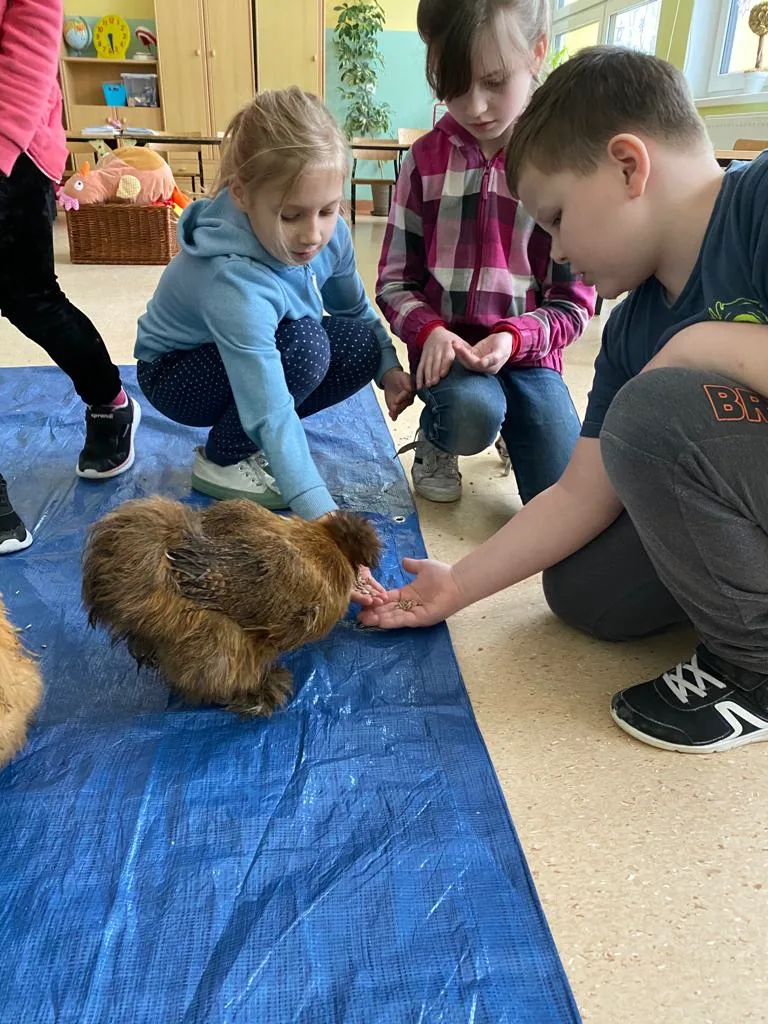 PHOTO 2022 01 28 16 08 26