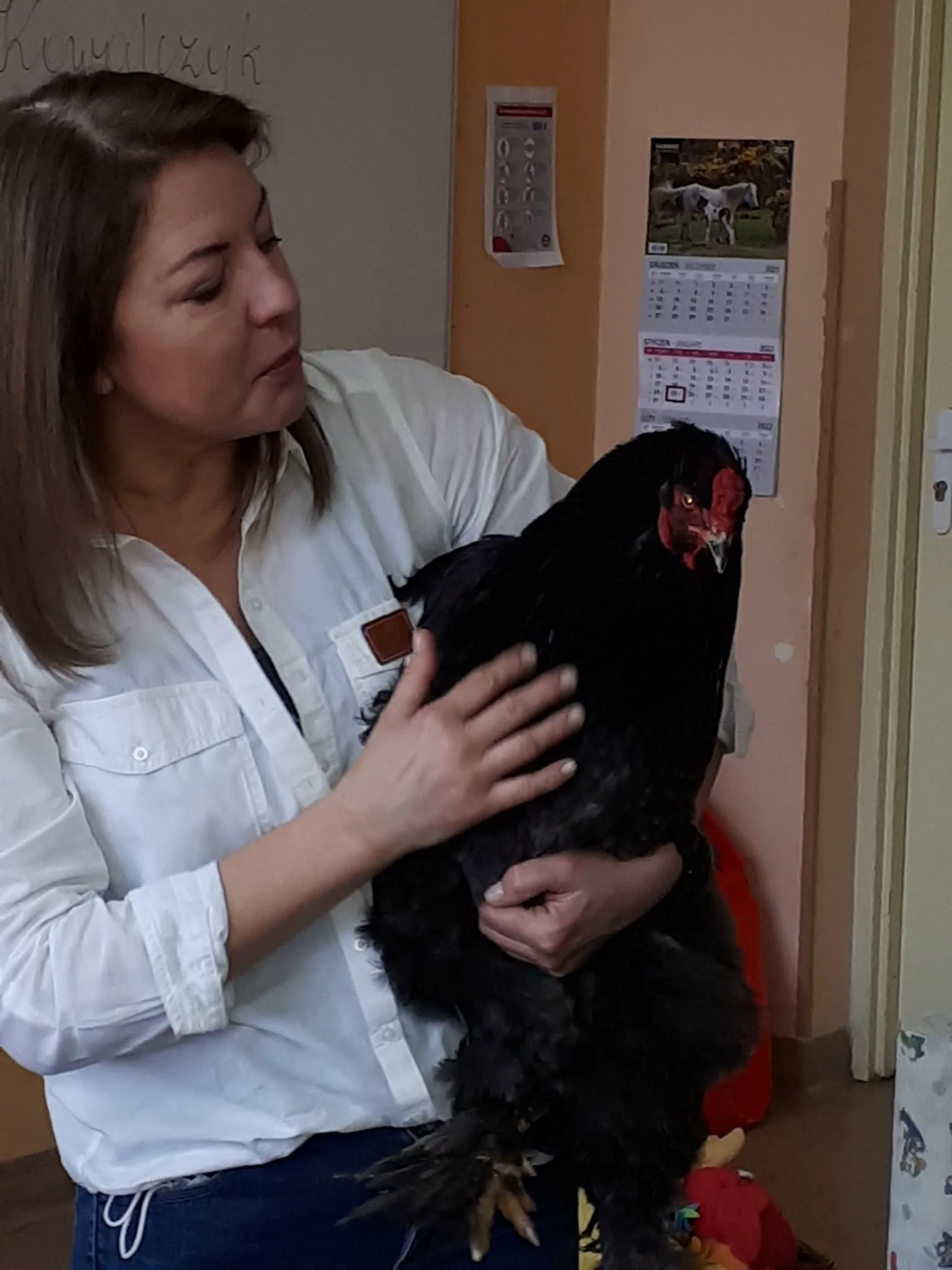 PHOTO 2022 02 01 13 06 48