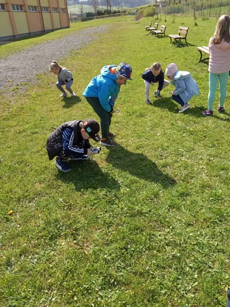 CO W TRAWIE PISZCZY ?