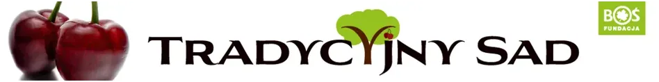 TRADYCYJNY SAD