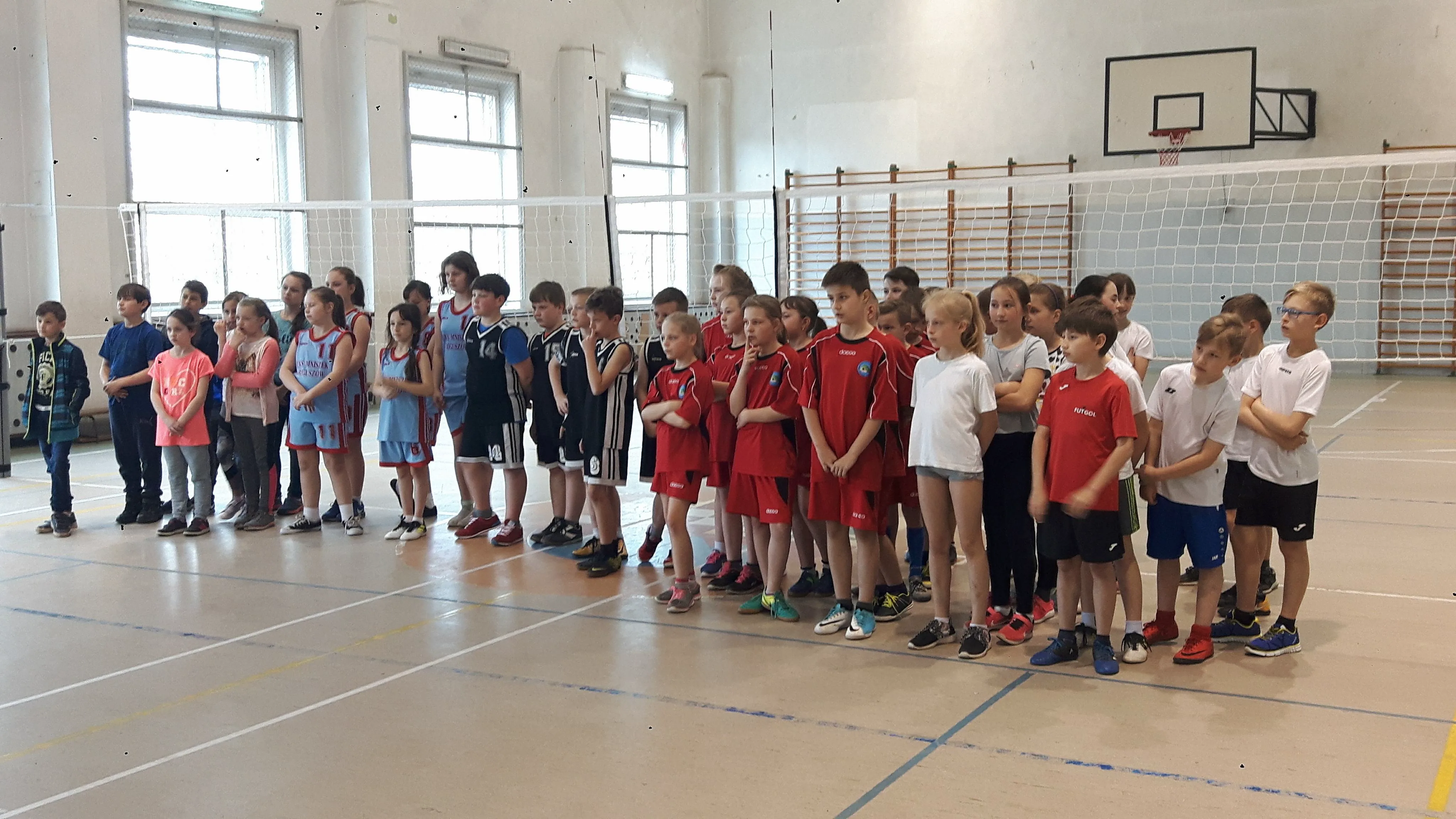 30549859 1556779781087711 25854840 o