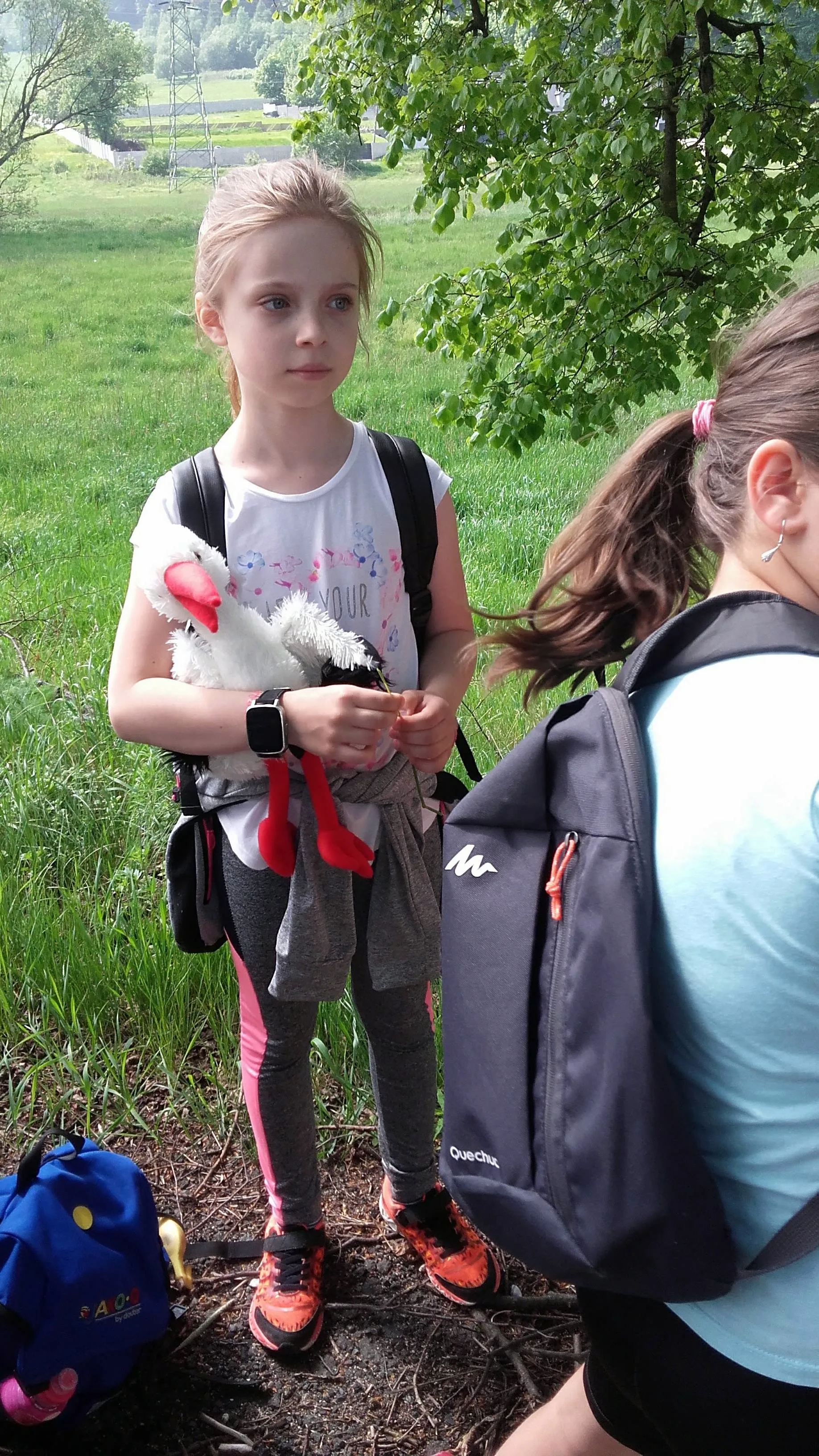 32490970 1727682060644087 7419918649403637760 n