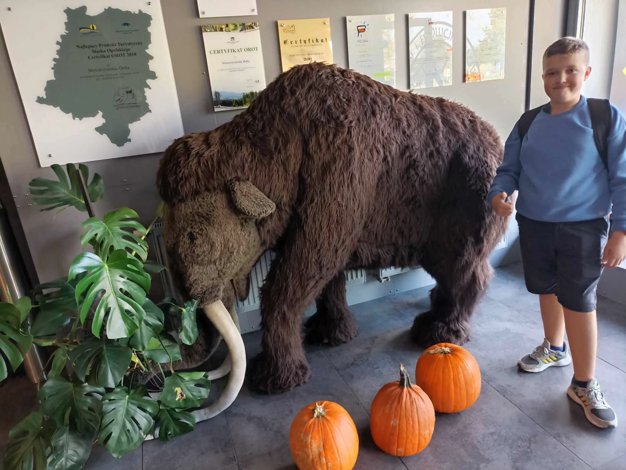 384169516 232257416495826 7124291931787067886 n