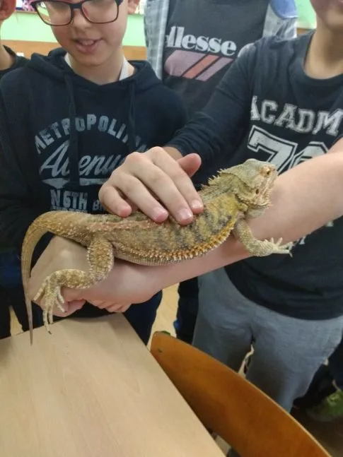 „Odwrócona lekcja”- uczeń w roli nauczyciela