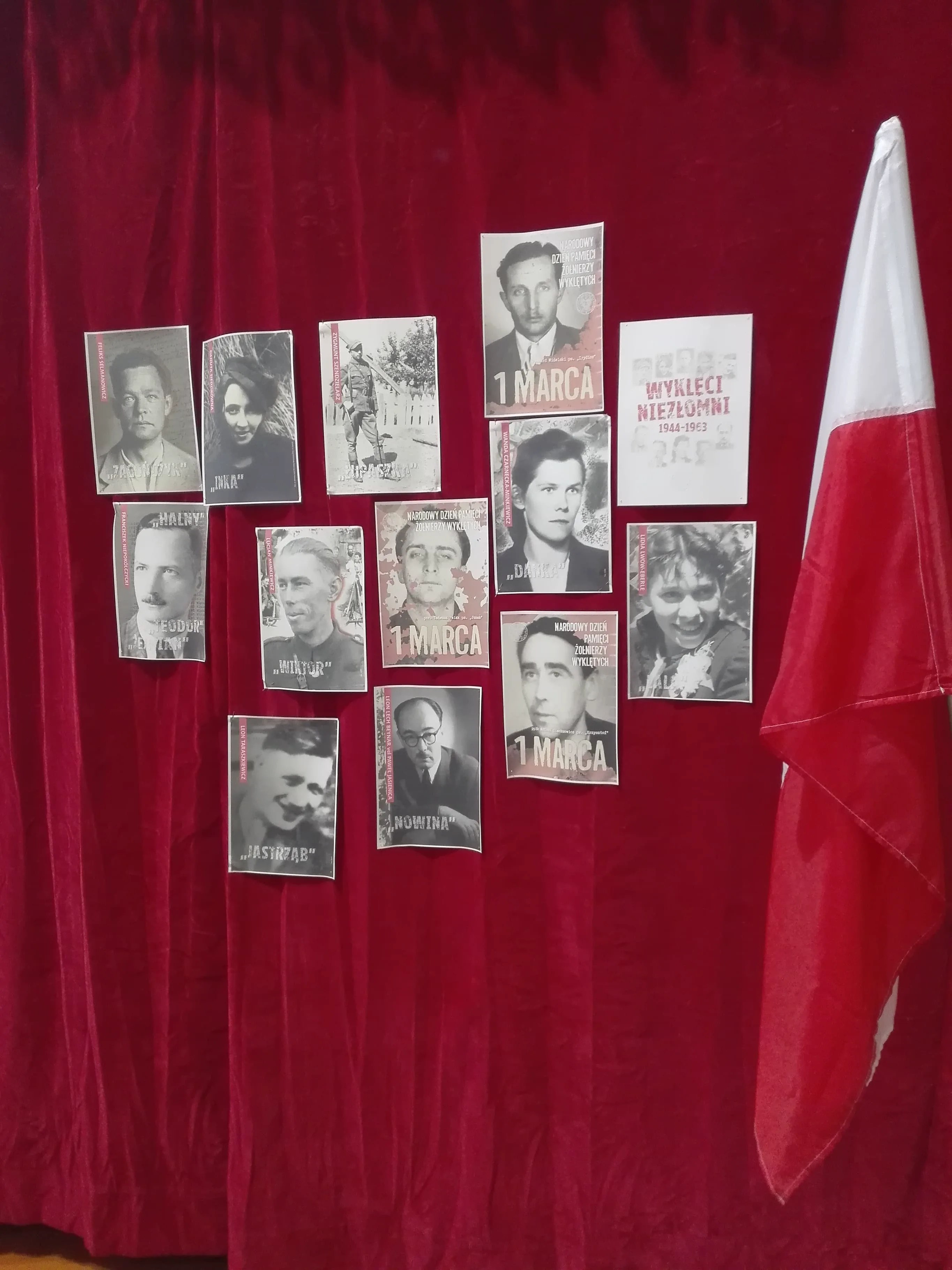 53646192 407113463186599 7613235187526139904 n