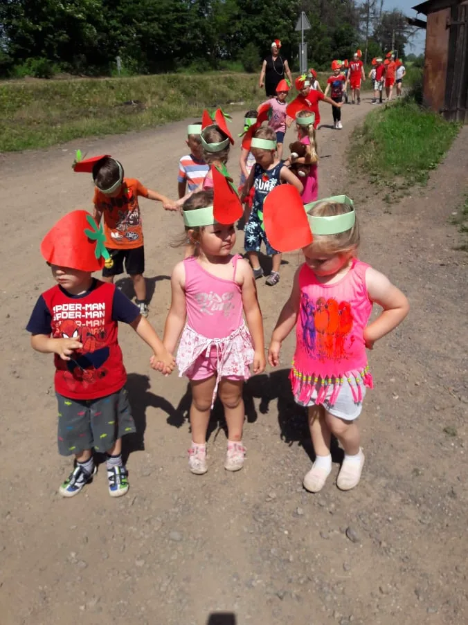 62422323 331632244181150 7105522022519668736 n