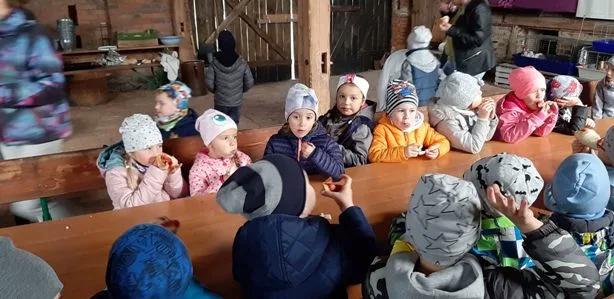 74243345 632146420649858 4429478782583177216 n